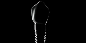 materiales evitar en tratamientos para tu boca